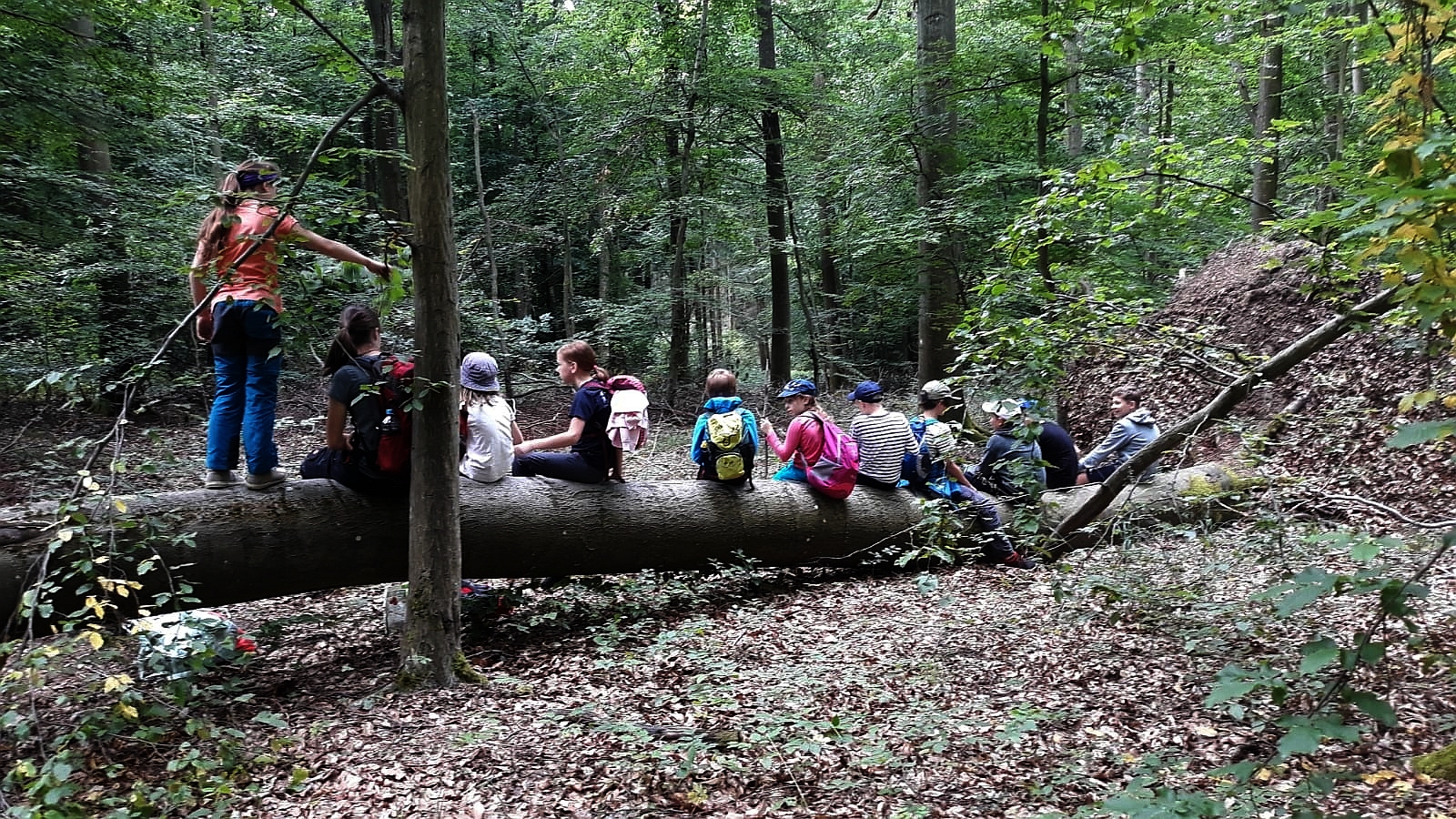 Kinder sitzen auf Baumstamm im Wald