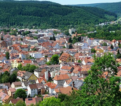 Bäume in der Stadt Tuttlingen