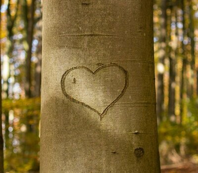 Baum mit Herz