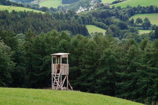 Foto:© hunting-tower by Monsterkoi/pixabay