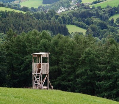 Foto: © pixabay hunting-tower by Monsterkoi