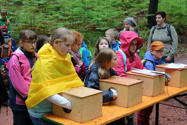 Kinder erleben den Wald mit allen Sinnen