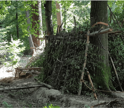 Ein aus Ästen und Blättern gebauter Unterstand