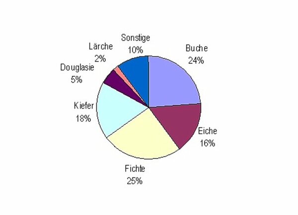 Kreisdiagramm Baumarten