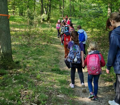 Waldpaziergang einer Gruppe von Kindern