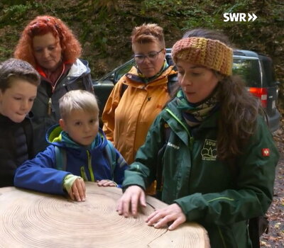 Vorschaubild des Videobeitrags vom SWR Fernsehen