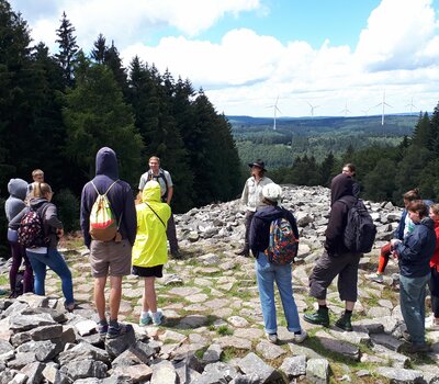 Gruppe auf Plattform im Wald