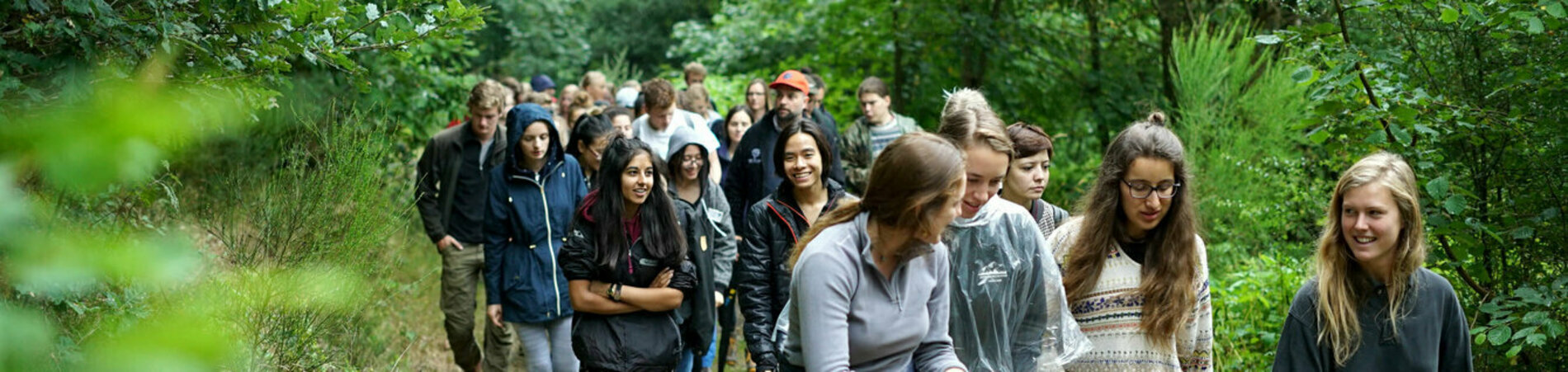 Waldexkursion auf der European Summer School