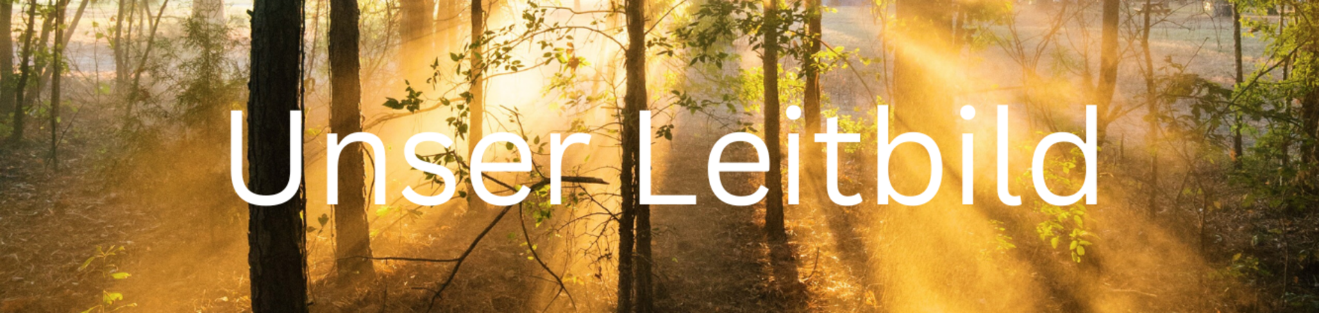 Sonnenstrahlen durchleuchten Wald, Aufschrift: Unser Leitbild