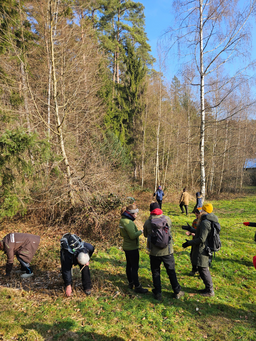 Lehrkräfte im Wald
