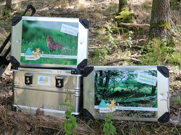 Drei Waldkiste im Wald