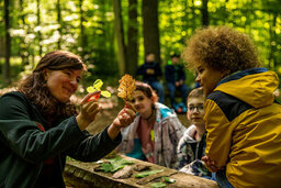 Foto: Landesforsten.RLP.de / Jonathan Fieber