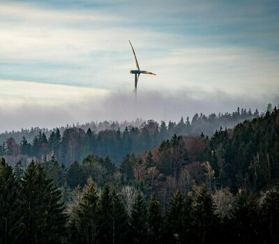 Windenergie im Wald