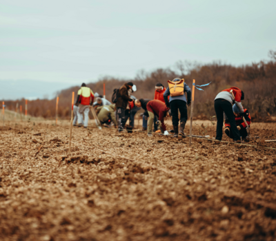 Foto:© Nina Heinl „Wildesleben"